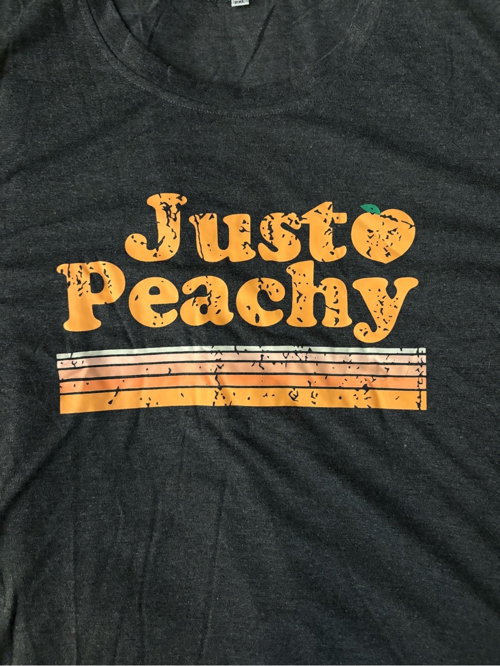Just Peachy Graphic Tee Charcoal Plus Size 2X Short Sleeve Casual Top NWT - Picture 2 of 4